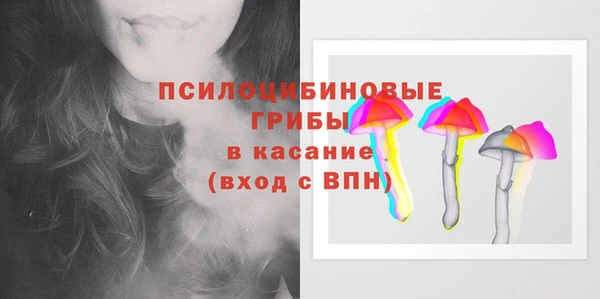 соль курить ск Верея
